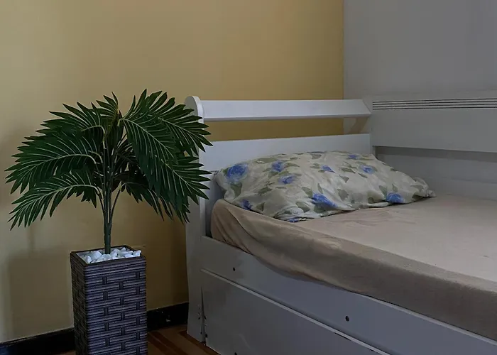 Rio Surf House Hostel E Pousada