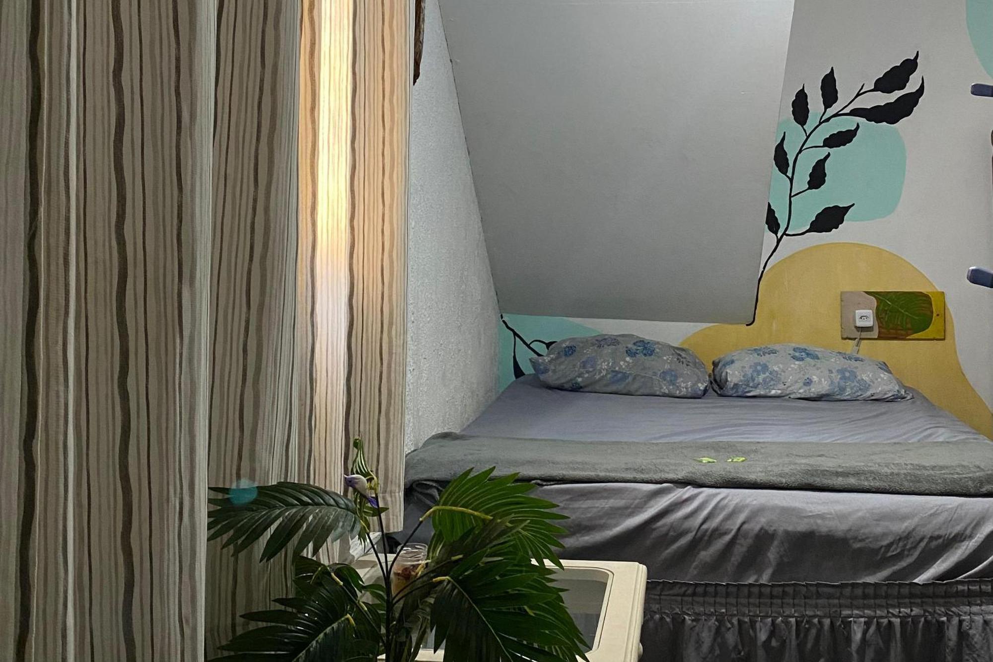 Rio Surf House E Hostal