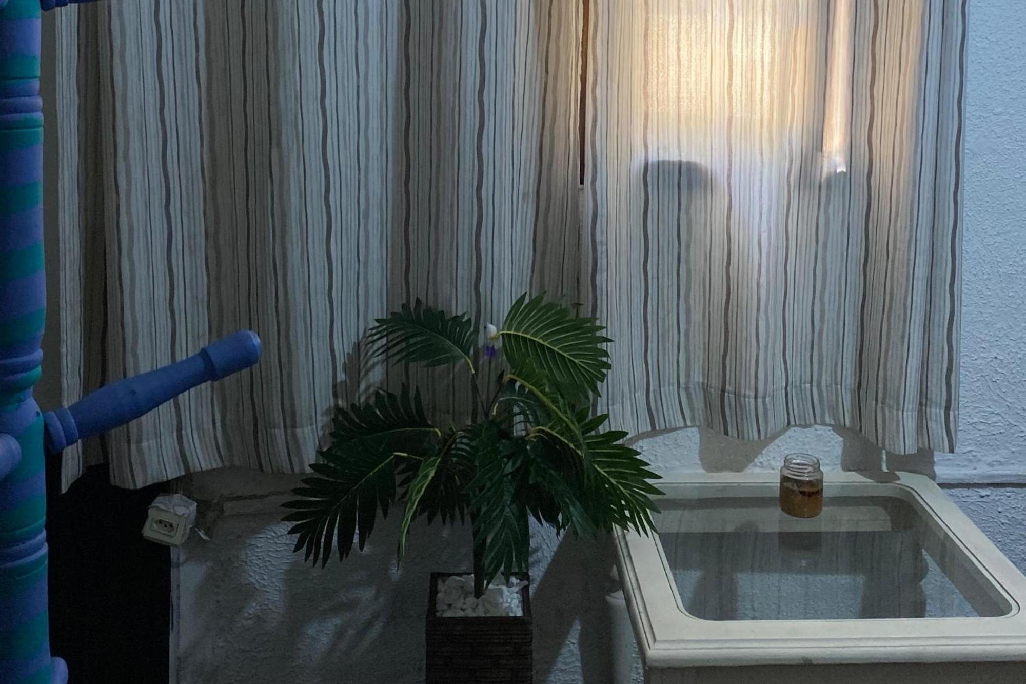 Rio Surf House E Hostal *